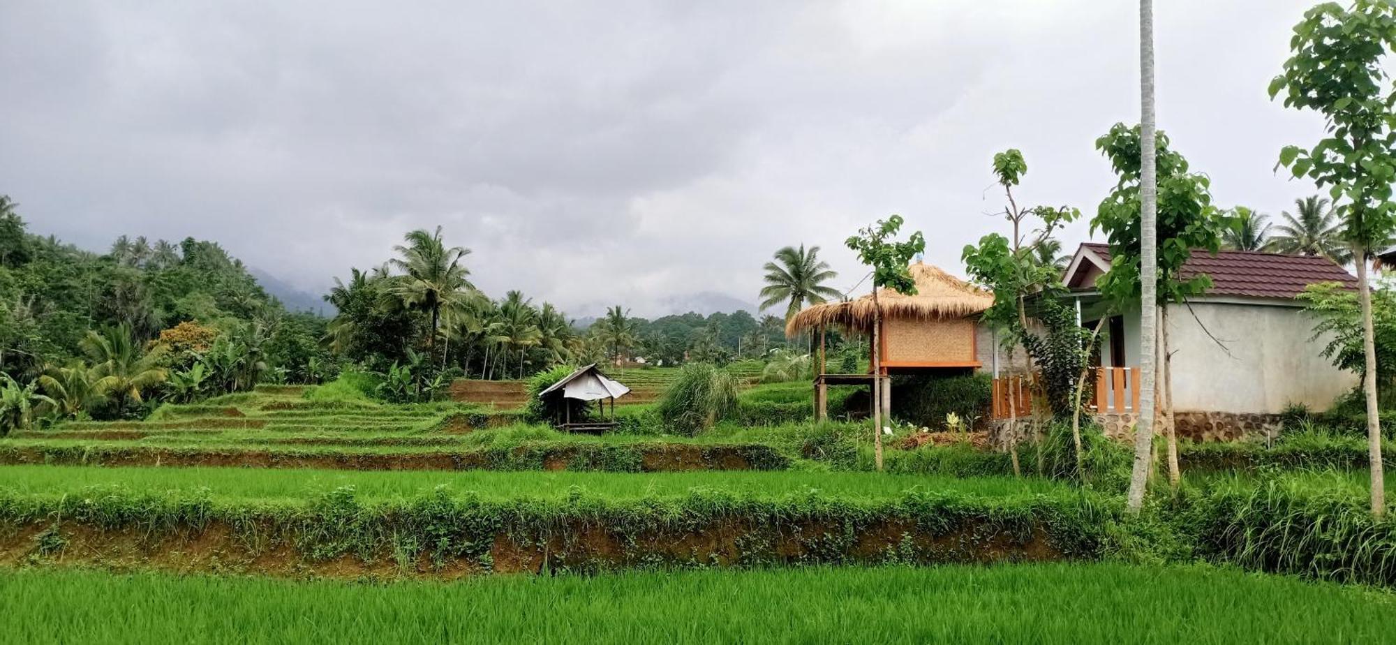 Bayan Exotic Homestay เซอนารู ภายนอก รูปภาพ