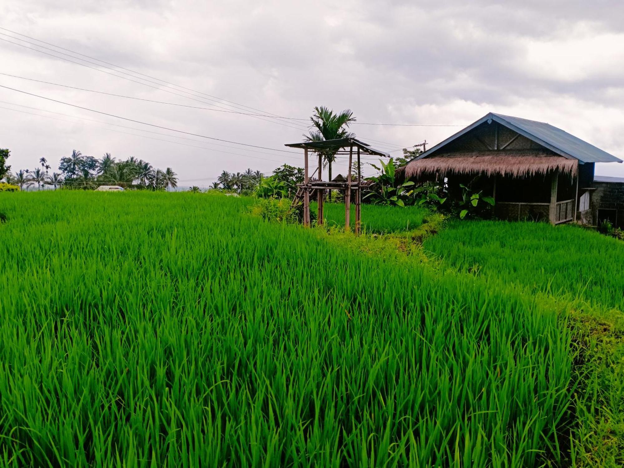 Bayan Exotic Homestay เซอนารู ภายนอก รูปภาพ