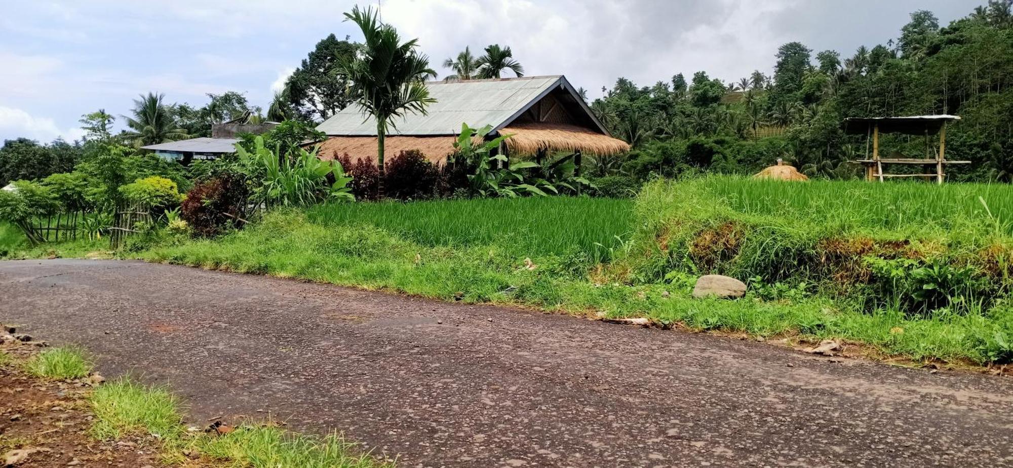 Bayan Exotic Homestay เซอนารู ภายนอก รูปภาพ