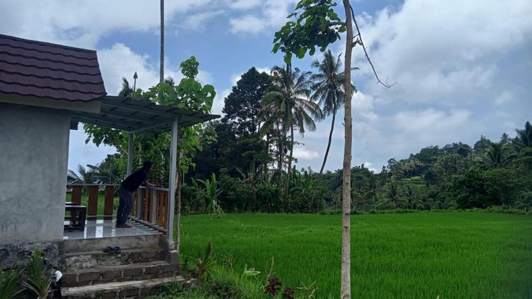 Bayan Exotic Homestay เซอนารู ภายนอก รูปภาพ