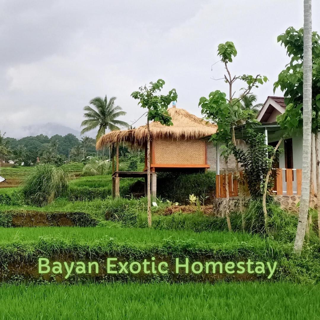 Bayan Exotic Homestay เซอนารู ภายนอก รูปภาพ