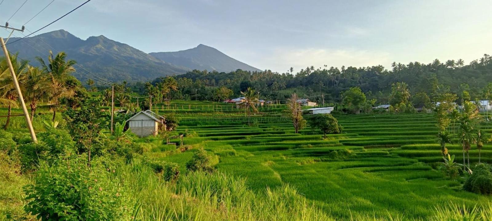 Bayan Exotic Homestay เซอนารู ภายนอก รูปภาพ