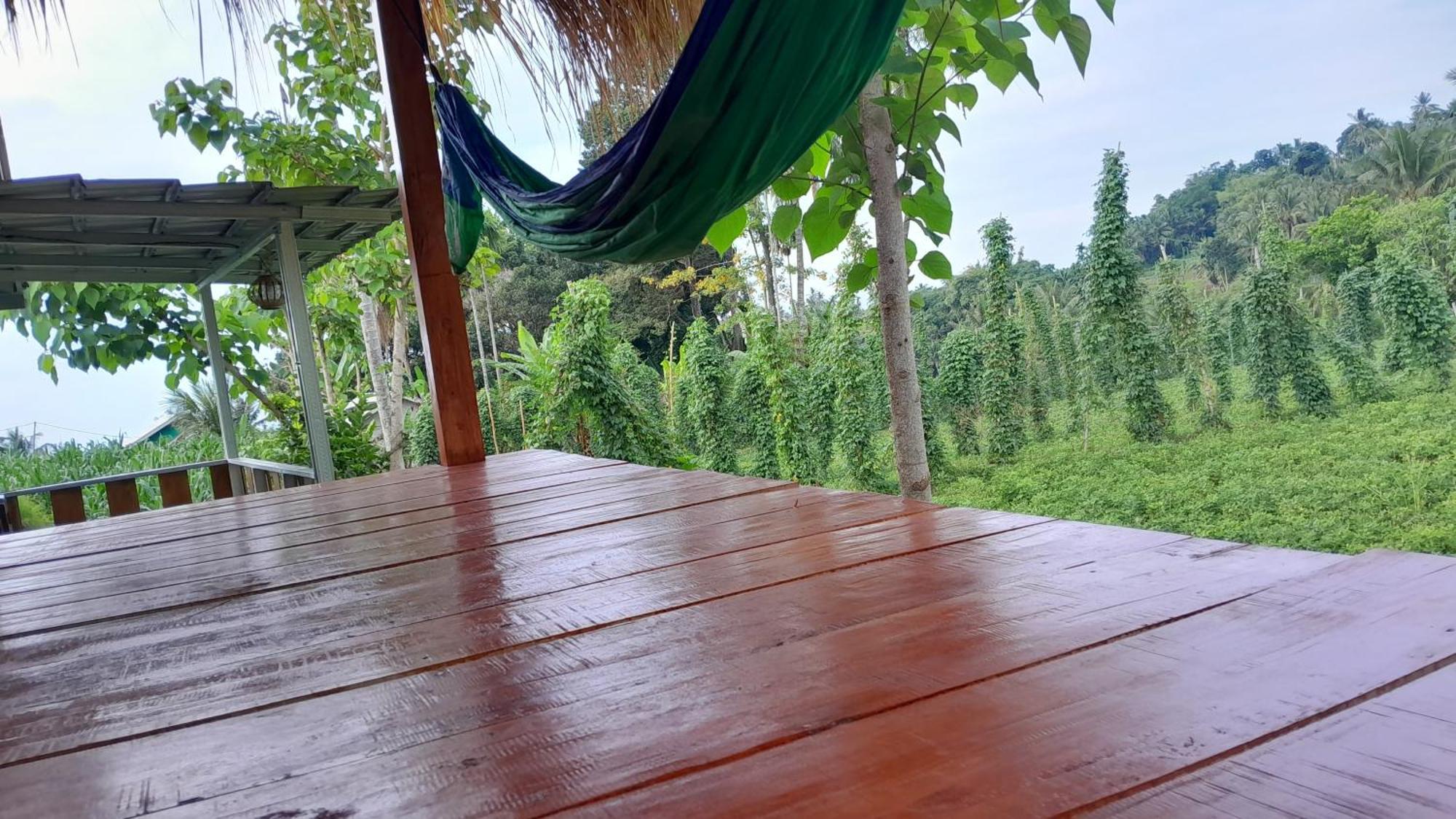 Bayan Exotic Homestay เซอนารู ภายนอก รูปภาพ